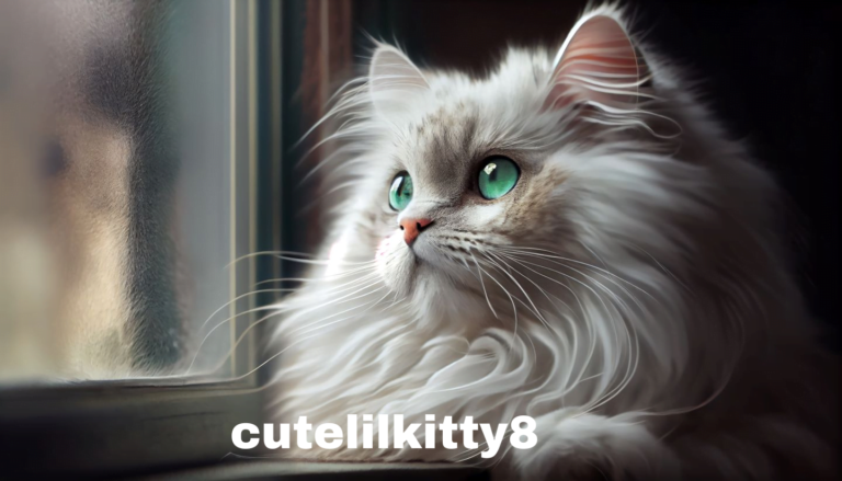 Unveiling the Charm of cutelilkitty8: A Comprehensive Guide
