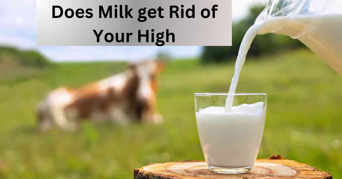 Does Milk get Rid of Your High